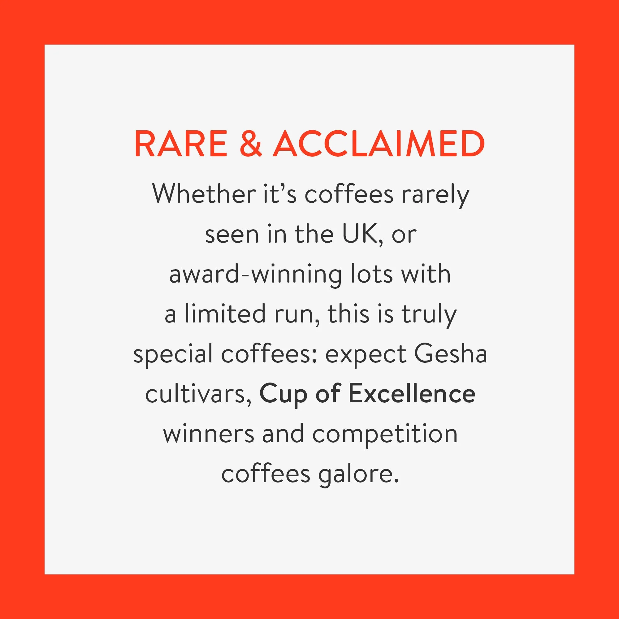 Ecuador Coffee Trio - Image 4