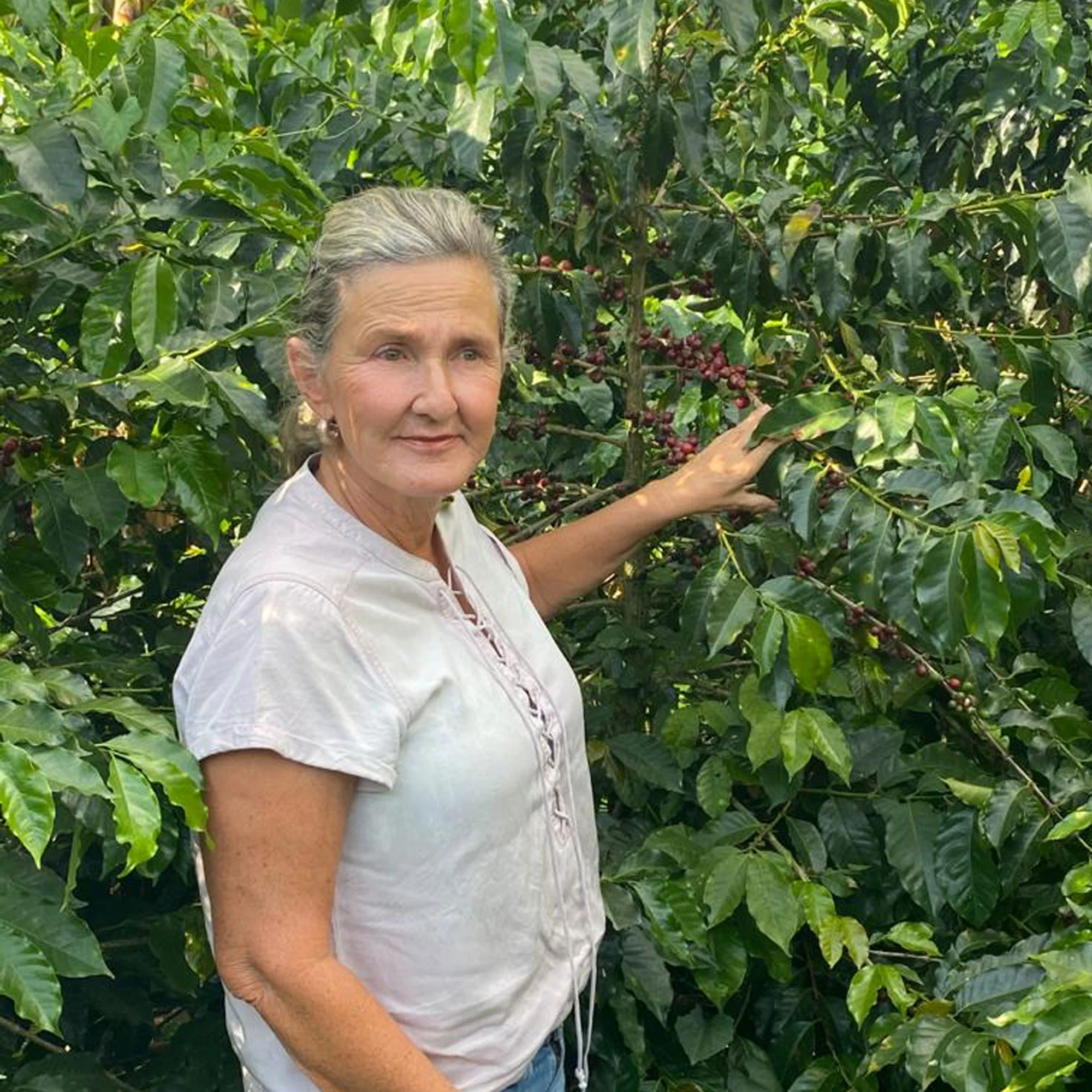Colombia, Luz Helena, Pink Bourbon - Image 8