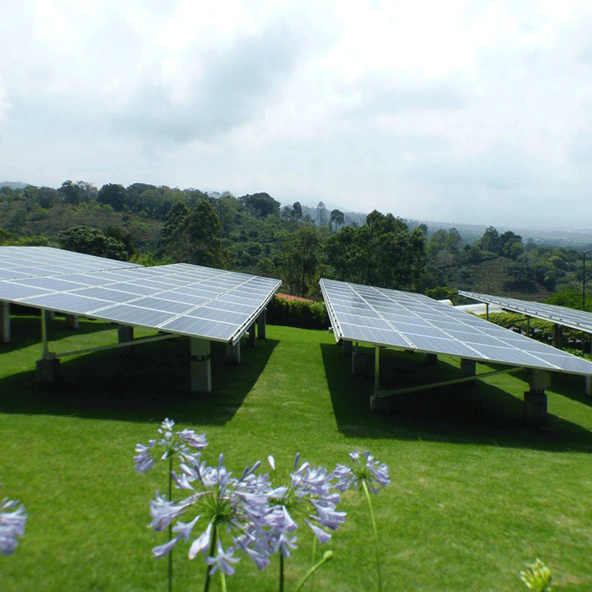 Costa Rica, Aquiares - Image 2