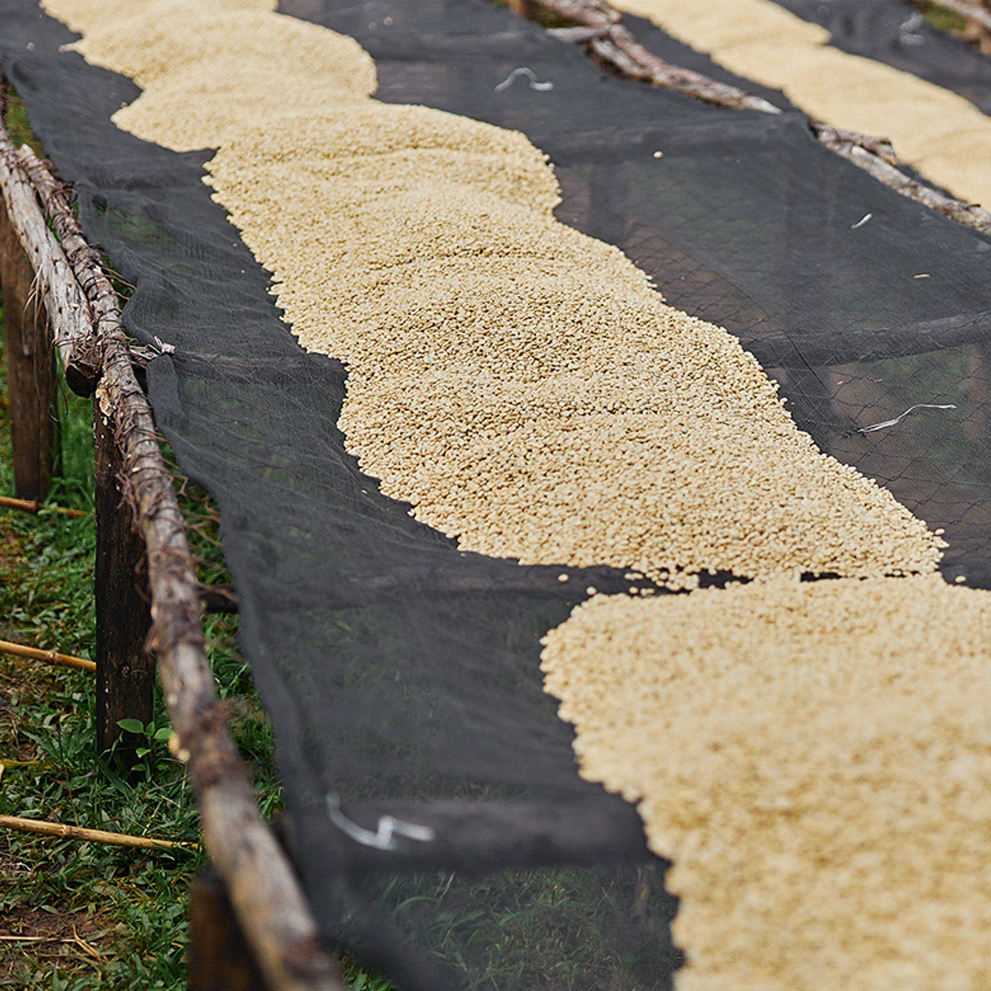 Ethiopia, Yukro - Image 8