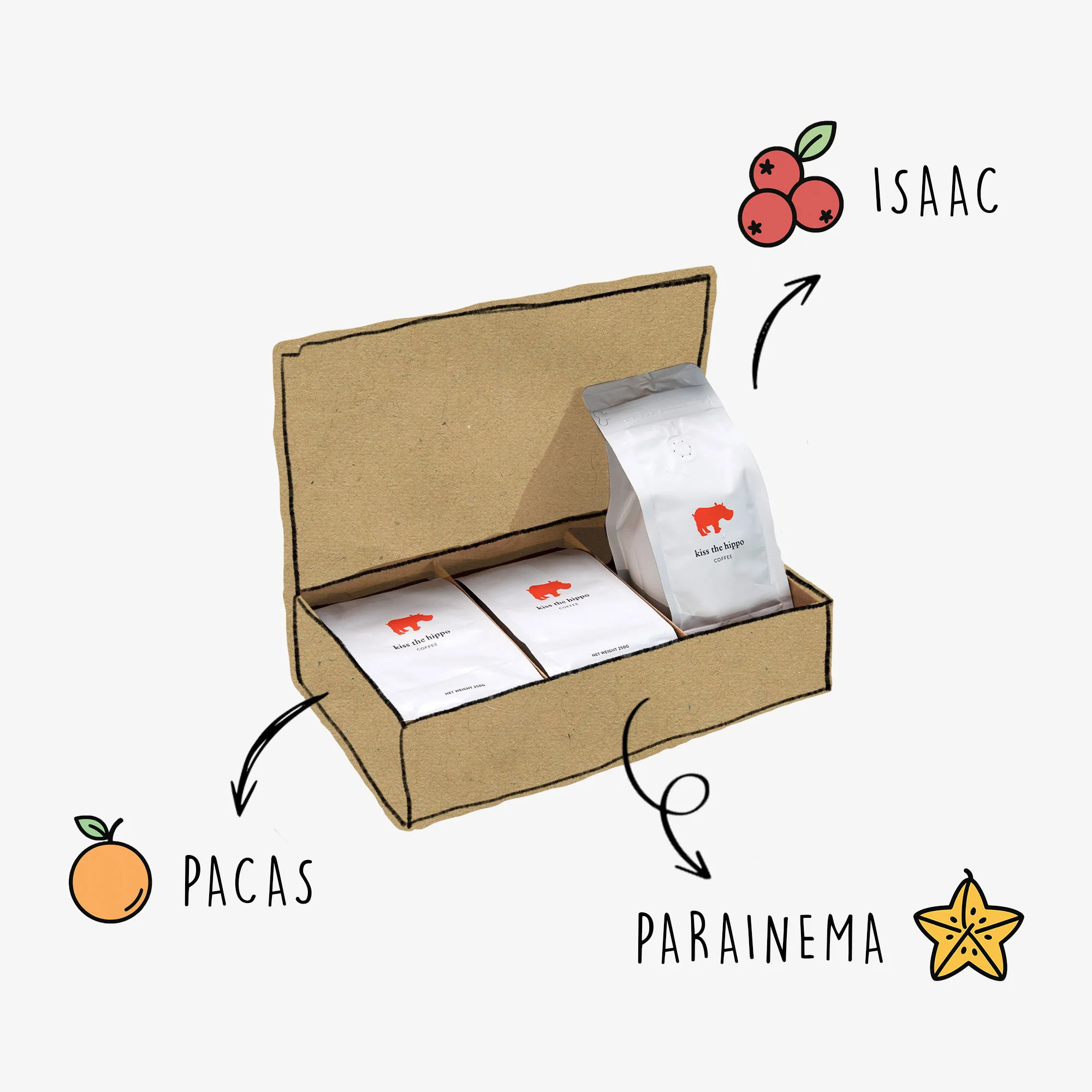 Honduran Trio Pack