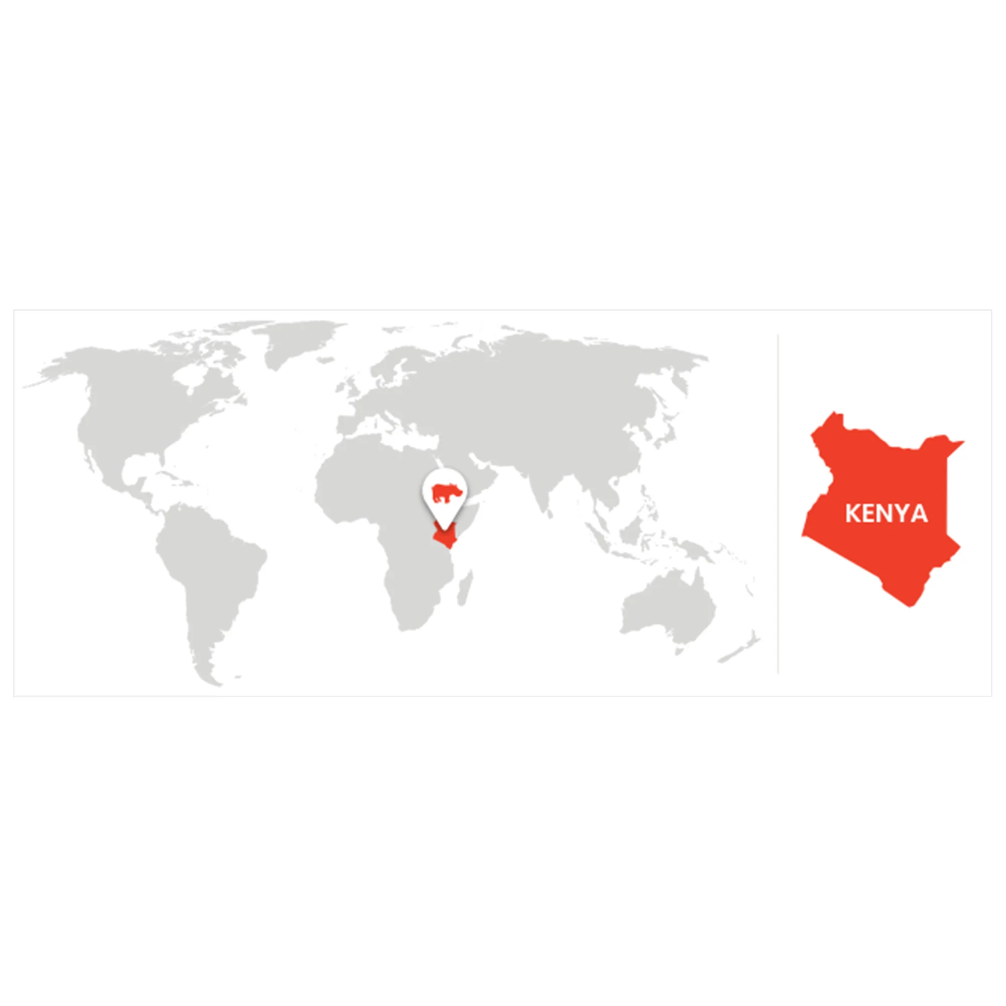 Kenyan Duo Pack - Image 3