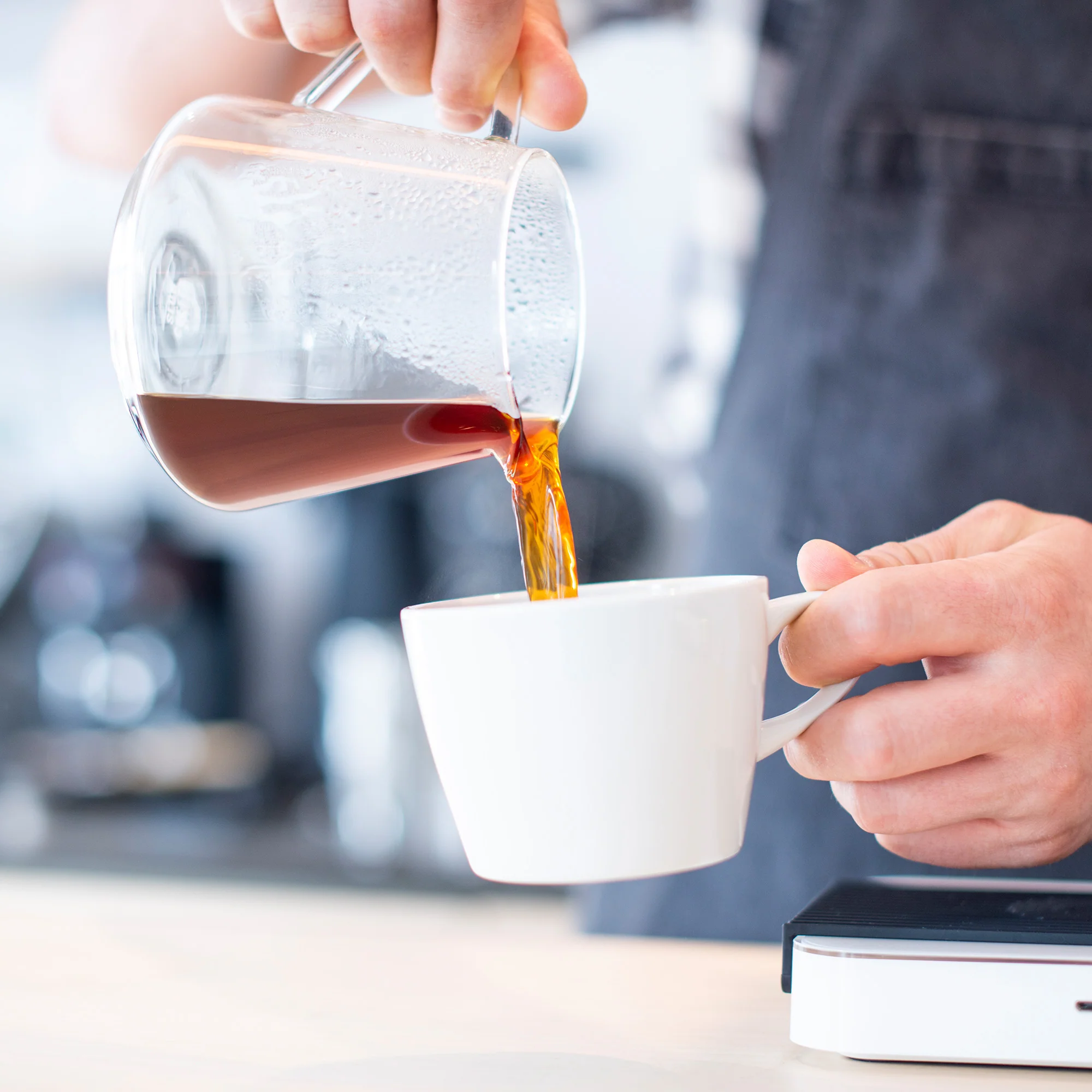 V60 Bundle - Image 4